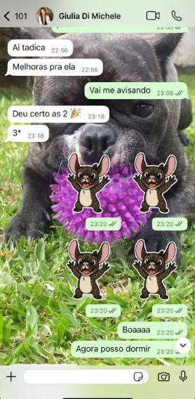 Depoimento de mentorado 9